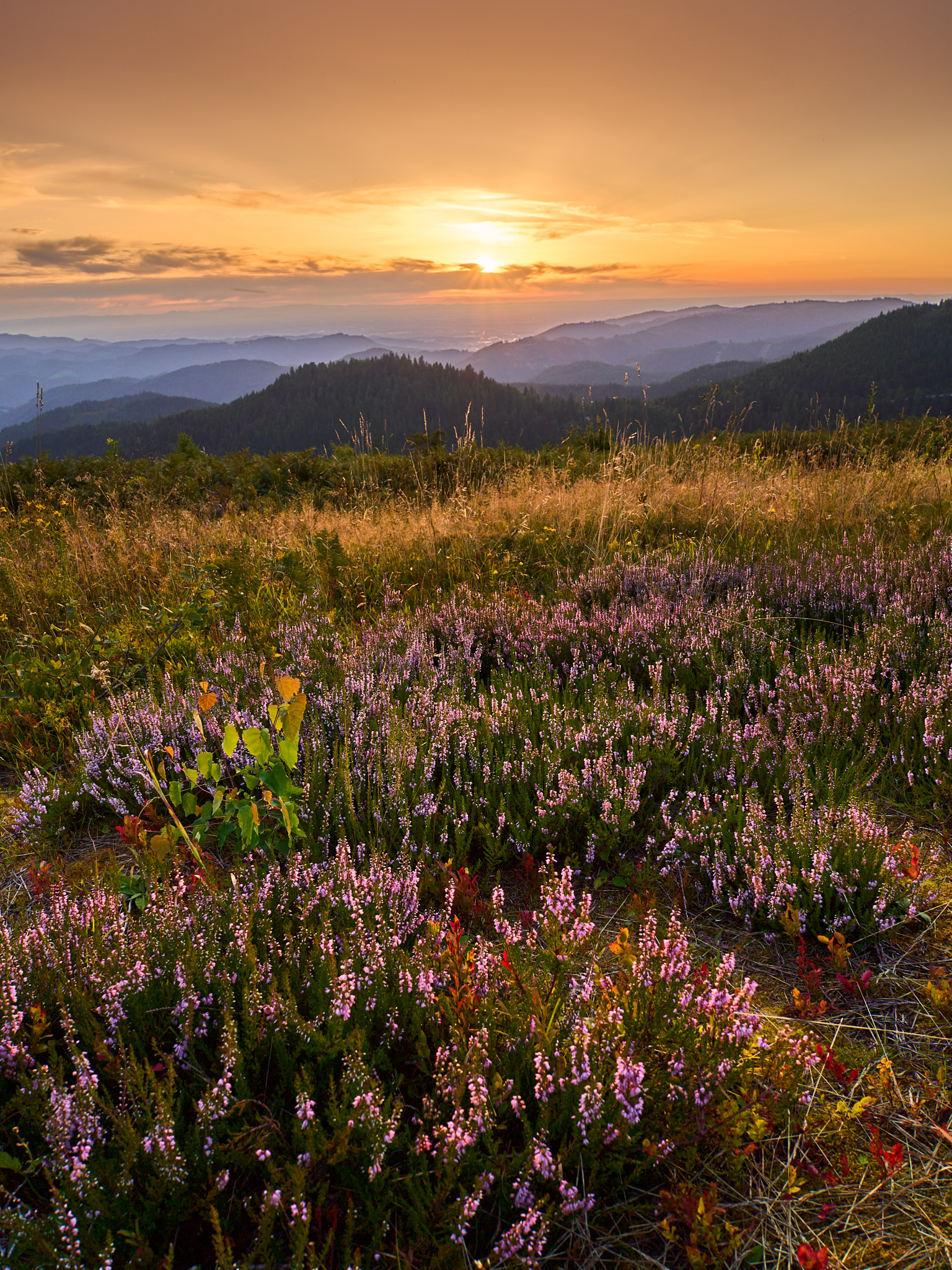 Sonnenuntergang Schwarzwald
